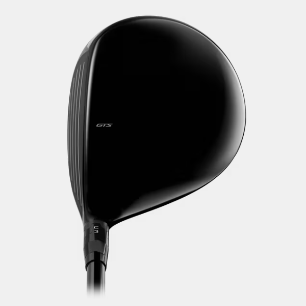GTS300 Mini Driver-2