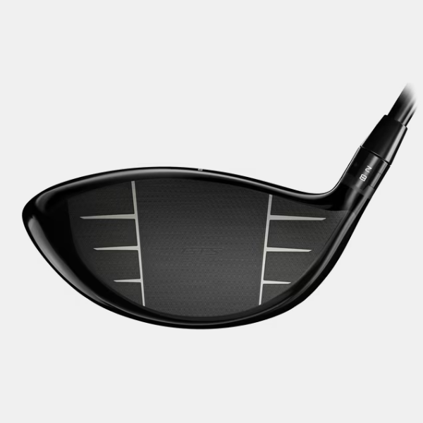 GTS4 Driver-3